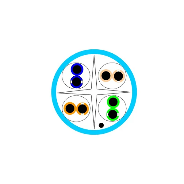 V610061 V610061